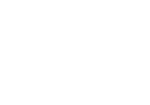 ZIBV Final Logo2-white